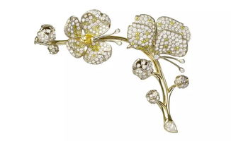 珠光下的動物奇趣王國 戴上動物，更添時尚魅力